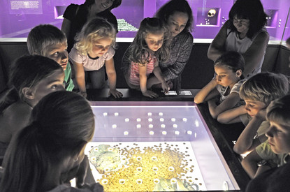 Gruppe von Kindern und Erwachsenen, die um eine Ausstellungsvitrine mit Goldmünzen stehen
